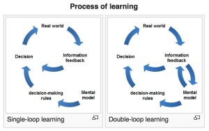 double loop learning